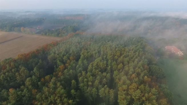 go to Über den Wolken: Drohnenaufnahmen zeigen Herbstpanorama